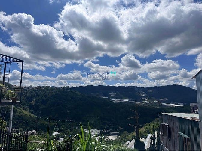 Hình ảnh Bán đất View rừng thông rất đẹp đường ô tô Hoàng Hoa Thám Đà Lạt