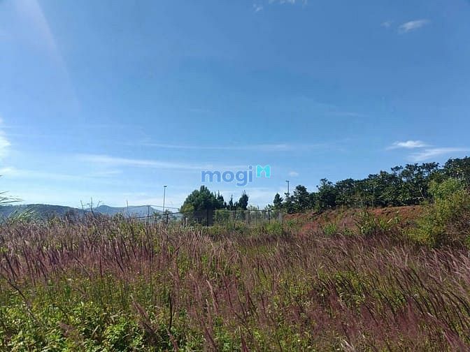 Hình ảnh Bán đất biệt thự 236m2 View đẹp gần chợ Xuân Thọ cách Đà Lạt chỉ 10km