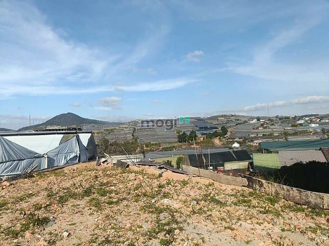 Hình ảnh Bán đất biệt thự View đẹp đường Nam Hồ Đà Lạt, cách Hồ Xuân Hương 5km