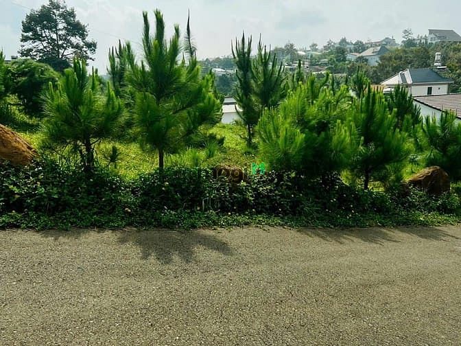 Hình ảnh Bán đất biệt thự tặng View góc 2 mặt tiền đường Mạc Đĩnh Chi Bảo Lộc