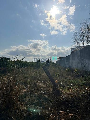 Hình ảnh Bán Đất Mặt Tiền Trương Định, Phường An Phú, Pleiku Gia Lai