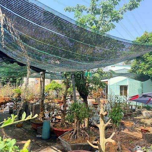 Hình ảnh Chỉnh Chủ Gửi Bán Lô Đất Hẻm 47 Đường số 14 Khu Phước Bình Quận 9