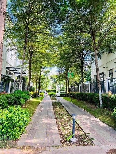 Hình ảnh Cho thuê Trang Chủ MB66.COM / Đăng Ký Tặng 66K đầy đủ nội thất ngay An Phú Lakeview City