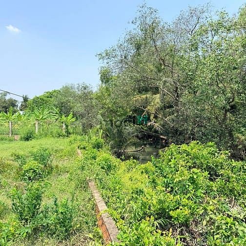 Hình ảnh Cần bán đất mặt đường số 1, Phường Long Phước, Quận 9