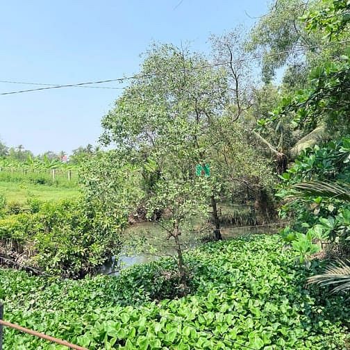 Hình ảnh Cần bán đất mặt đường số 1, Phường Long Phước, Quận 9