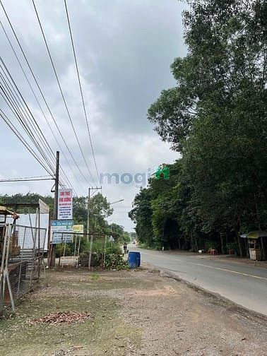 Hình ảnh Chính chủ cần bán 3 lô đất liền kề tổng diện tích 3.119m² tại Bến Cát