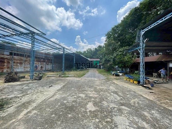 Hình ảnh Chính chủ cần bán 3 lô đất liền kề tổng diện tích 3.119m² tại Bến Cát