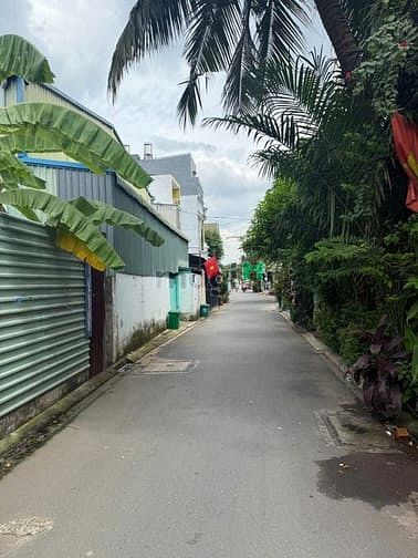 Hình ảnh Cho thuê kho xưởng vườn lài quận 12