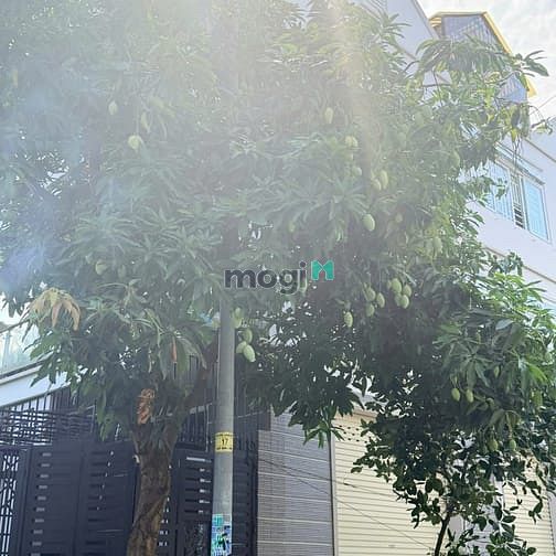 Hình ảnh Chính Chủ Gửi: Bán Nền Nhà Phố Liền Kề Khu Dự Án Nam Long P.Phước Long