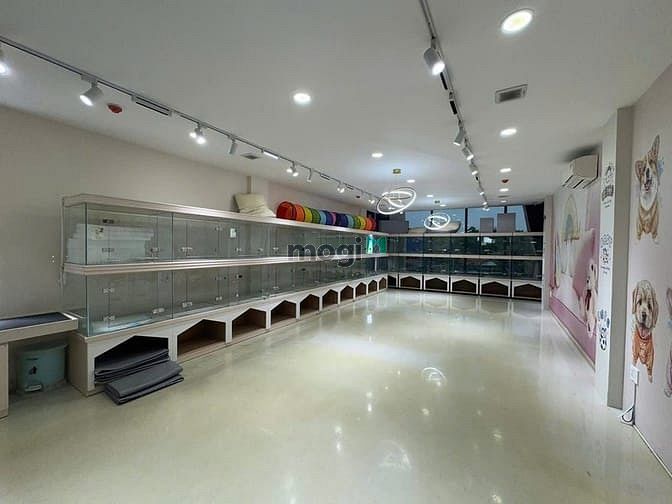 Hình ảnh Tòa nhà MT Thảo Điền DTSD hơn 500m2, 5 tầng + thang máy. Giá 220tr/th