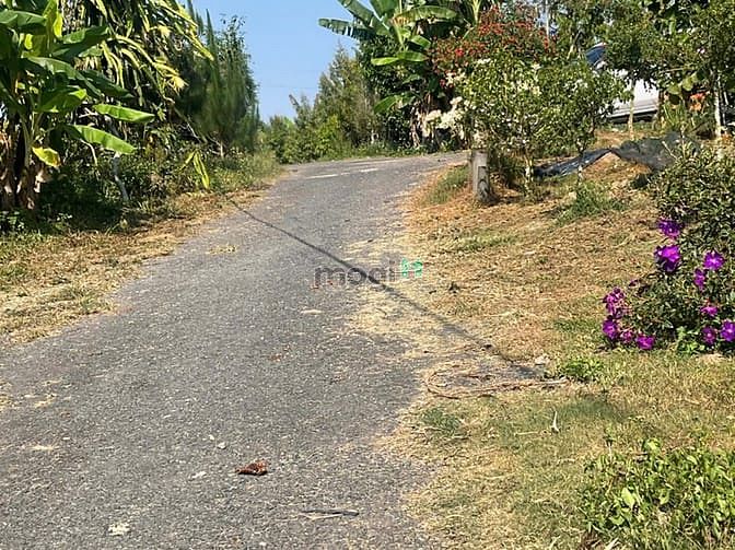Hình ảnh Bán ĐấT 4 lô Nền Đẹp Nên Thơ Viêu Suối Đá