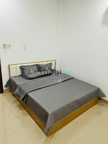 Hình ảnh Cho thuê Biệt thự mini giá tốt