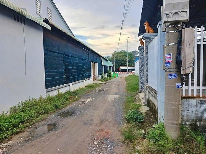 Hình ảnh đất ngộp củ chi 3 mặt tiền , 430m2 có sẵn 316m2 thổ cư