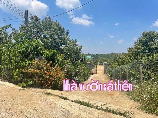 Hình ảnh Bán Đất Hòa Ninh Di Linh- Lâm Đồng Đất nền sẵn thổ cư và cây ăn trái