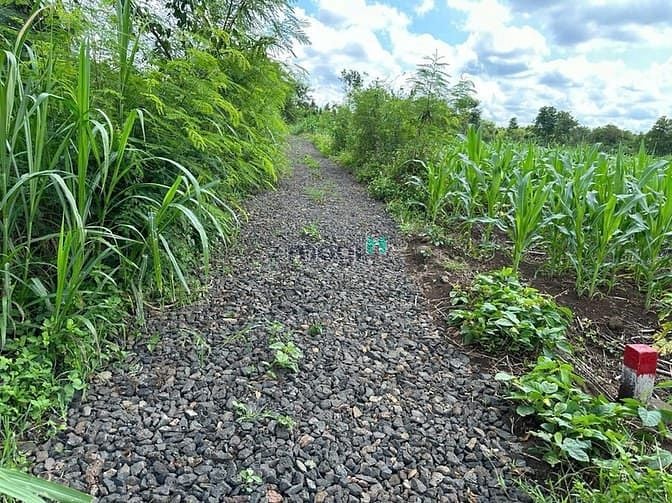 Hình ảnh Bán Đất Tam Giang - Krông Năng-ĐẮK LẮK