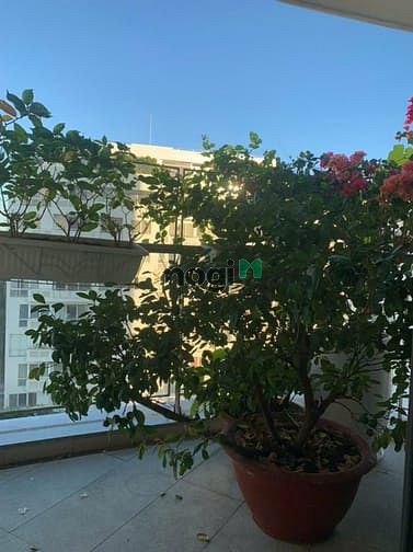 Hình ảnh Cho thuê nhanh Trang Chủ MB66.COM / Đăng Ký Tặng 66K cao cấp full nội thất Riverpark Preimer nhà đẹp