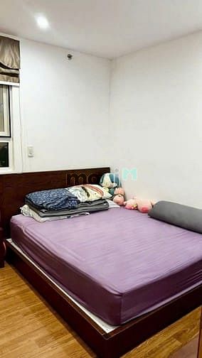 Hình ảnh Chung cư Ruby, Nguyễn Sỹ Sách, TB: 80m2, 2p ngủ, full NT, 10tr/th