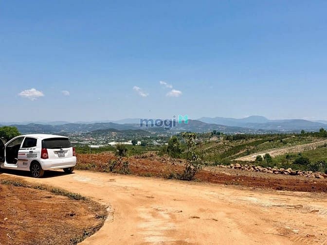 Hình ảnh Bán Đất 1000 m2 Lâm Hà, Lâm Đồng Giá Chỉ 699tr