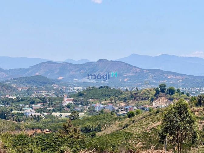 Hình ảnh Bán Đất 1000 m2 Lâm Hà, Lâm Đồng Giá Chỉ 699tr