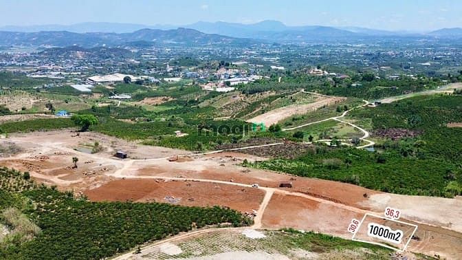 Hình ảnh Bán Đất 1000 m2 Lâm Hà, Lâm Đồng Giá Chỉ 699tr