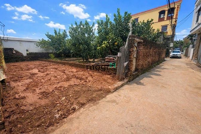 Hình ảnh Cần tiền bán gấp lô đất 63,9 m2 mặt tiền hơn 4m.  Xã Tân Phú, Quốc Oai