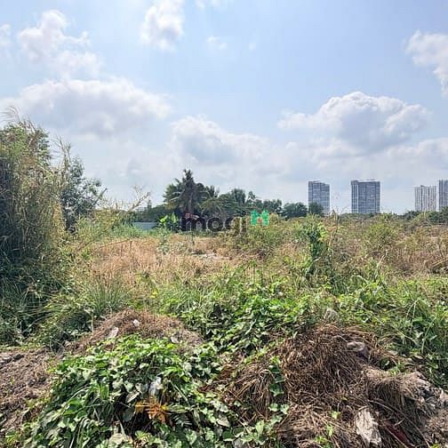 Hình ảnh Chính Chủ Gửi Bán Lô Đất Mặt Tiền Đường Võ Chí Công P.Cát Lái Quận 2