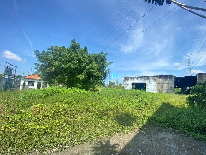 Hình ảnh Cho thuê kho và đất 5700m2 MT Võ Văn Bích Huyện Củ Chi