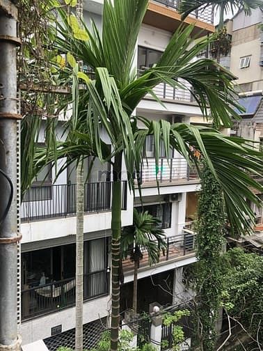 Hình ảnh Nguyễn Văn Cừ Long Biên – Ô Tô – 136 M2 – 3 T – MT 8.4 M – Giá 33.8 Tỷ