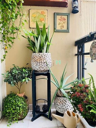Hình ảnh Giá 13tr5/th, C/c Mỹ Phước, Bùi Hữu Nghĩa, BT: 3p ngủ, Full NT, 95m2.
