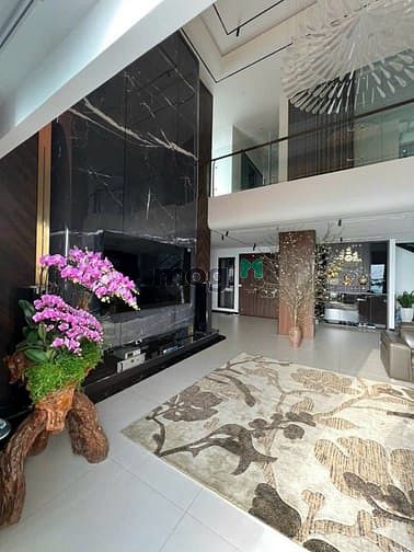 Hình ảnh Sieeu phẩm Penthouse đẳng cấp, diện tích khủng 351m2, full nội thất