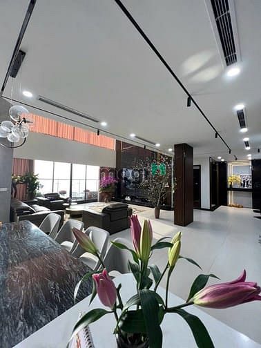 Hình ảnh Sieeu phẩm Penthouse đẳng cấp, diện tích khủng 351m2, full nội thất