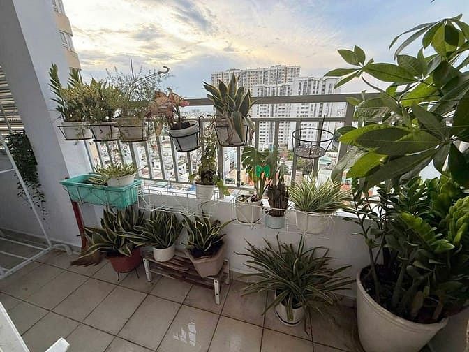 Hình ảnh C/c Miếu Nổi Vũ Huy Tấn, BT: 3PN, full NT, 95m2 nhà sạch 14tr, Bancong
