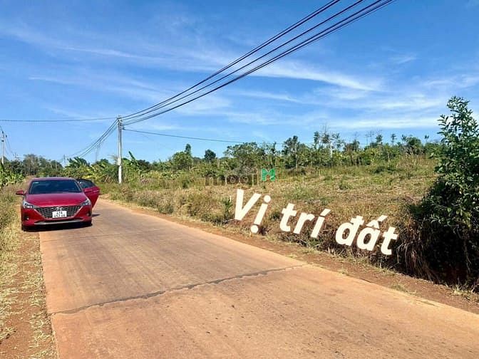 Hình ảnh Bán Đất 10x48 – Đường 16M – 488TR – Cách Trung Tâm BMT 30 PhúT
