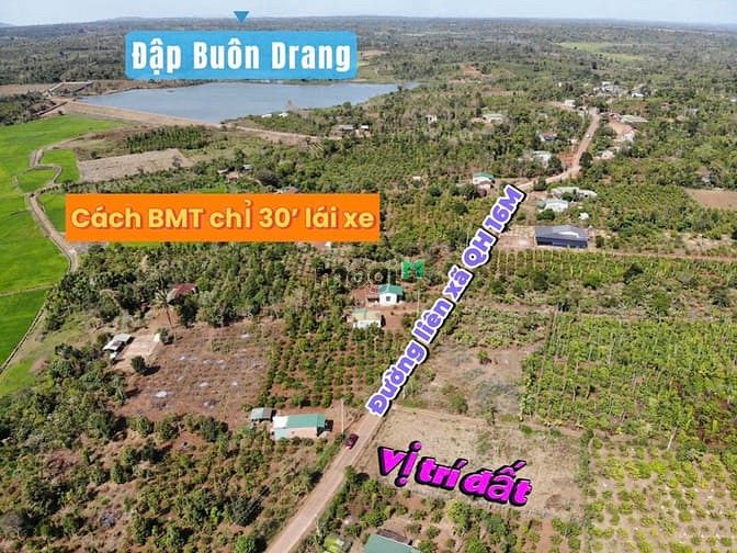 Hình ảnh Bán Đất 10x48 – Đường 16M – 488TR – Cách Trung Tâm BMT 30 PhúT