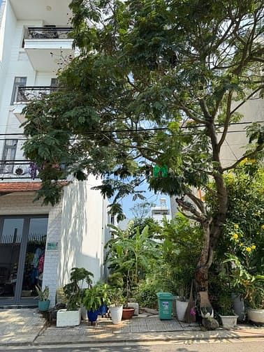 Hình ảnh Đất Đường Số 1 Long Trường (KDC Sông Ông Nhiêu) -52m2 - 3.7 tỷ