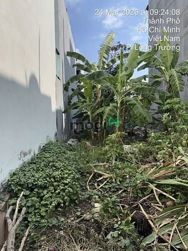 Hình ảnh Đất Đường Số 1 Long Trường (KDC Sông Ông Nhiêu) -52m2 - 3.7 tỷ