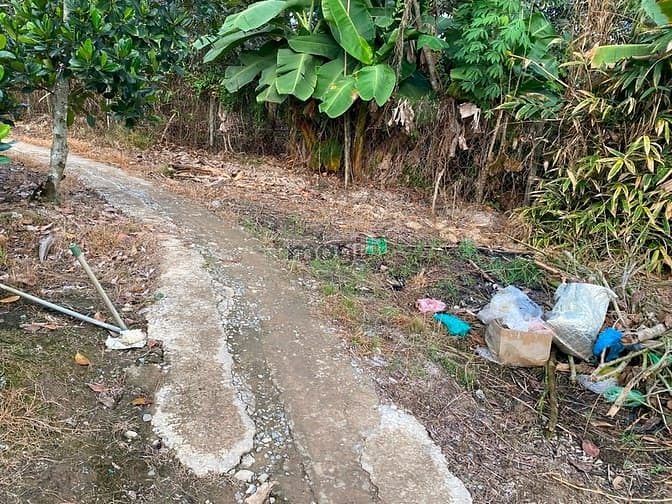 Hình ảnh Bán đất vườn ( sầu riêng) , phường Thanh hoà, Đồng tháp