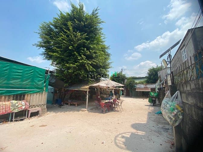 Hình ảnh Cho thuê đất gần chợ Lái Thiêu