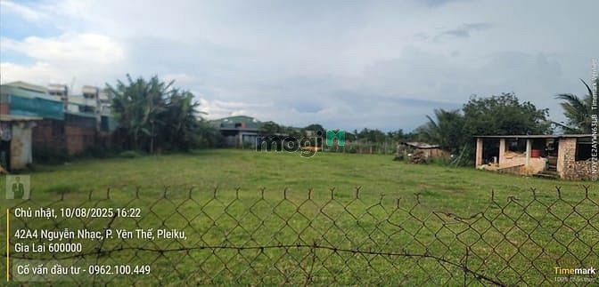 Hình ảnh Hẻm chính Lê Văn Hưu 150m2 Liền kề trường Tiểu Học,THCS Bùi Thị Xuân