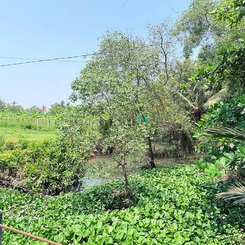 Hình ảnh Bán đất mặt tiền đường số 1, Phường Long Phước, Quận 9