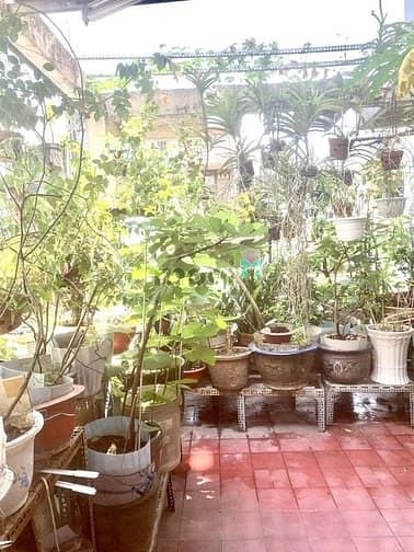 Hình ảnh Nhà Mặt tiền - Sư Vạn Hạnh - Lý Thái Tổ - Bà Hạt - Q10 - 93m2