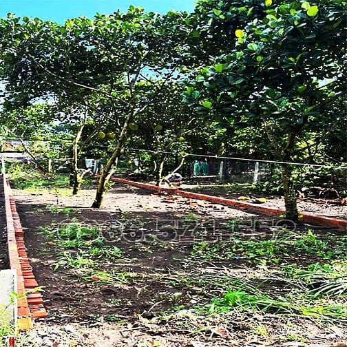 Hình ảnh 210m² thổ cư, ngay chợ hàm nghi – tp long khánh – đn. cơ hội x2,3 tài