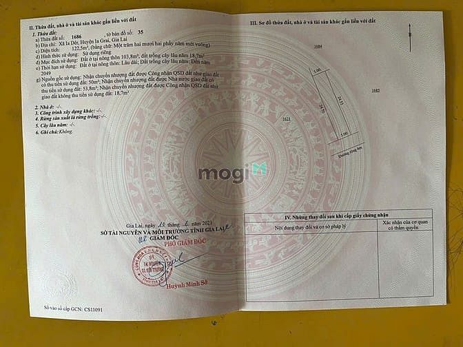 Hình ảnh BÁN ĐẤT ĐỒI THÔNG Hẻm Phan Đình Phùng Pleiku GIa Lai