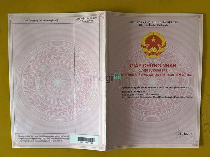 Hình ảnh BÁN ĐẤT ĐỒI THÔNG Hẻm Phan Đình Phùng Pleiku GIa Lai