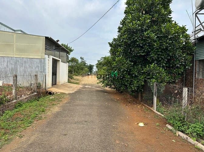 Hình ảnh Bán đất đồi thông ( hẻm Nhà Hàng Xưa Đồi Thông)