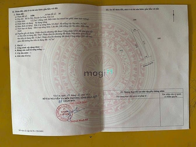 Hình ảnh Bán đất đồi thông ( hẻm Nhà Hàng Xưa Đồi Thông)