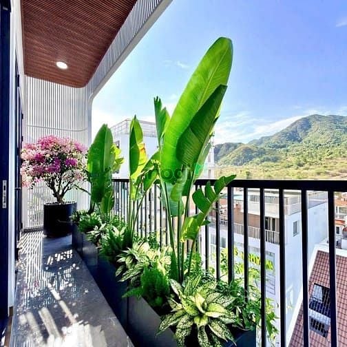 Hình ảnh 🏡 Beautiful 1-BEDROOM APARTMENT with BALCONY – North Nha Trang