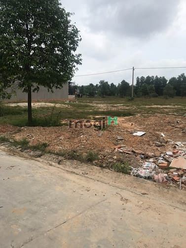 Hình ảnh Định Cư Sang Ý Thanh Lý Gấp Nhà Trọ Đang Kinh Doanh Và Đất 600M2 TC
