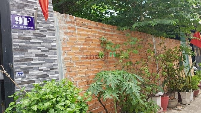 Hình ảnh Bán đất Hóc Môn – Sổ đỏ riêng – lô đất đẹp – Giá 8,25 tỷ – Chính chủ