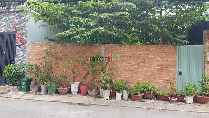 Hình ảnh Bán đất Hóc Môn – Sổ đỏ riêng – lô đất đẹp – Giá 8,25 tỷ – Chính chủ